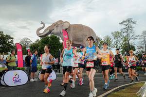 BIB: 
                            <button type="button" onclick="openModal(26528314)" class="btn btn-primary btn-sm float-right btn-popup" data-toggle="modal" data-target=".modal-high-quality">
                        <i class="fas fa-shopping-cart"></i> Add to Cart
                    </button>
                                            <button type="button" onclick="isThisMe(26528314, true)" class="btn btn-success btn-sm float-right btn-popup btn-isme hidden" data-toggle="tooltip" data-placement="bottom" title="นี่คือรูปของคุณใช่ไหม คลิกที่นี่เพื่อเอาเข้าอัลบั้ม">
                        <i class="fas fa-plus"></i> Add to album
                    </button>
                    <button type="button" onclick="isThisMe(26528314, false)" class="btn btn-warning btn-sm float-right btn-popup btn-isnotme hidden">
                        <i class="fas fa-ban"></i> Remove from album
                    </button>